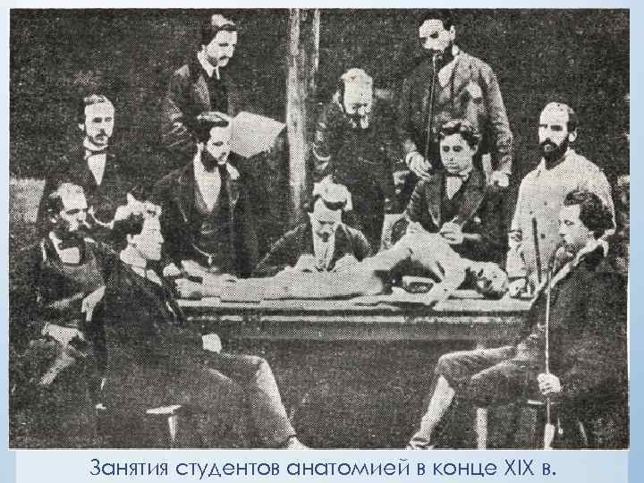 Занятия студентов анатомией в конце XIX в. 