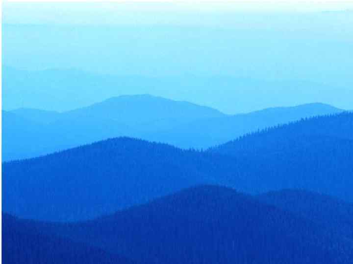 БЛАГОДАРЮ ЗА ВНИМАНИЕ БЛАГОДАРЮ ЗА ВНИМАНИЕ