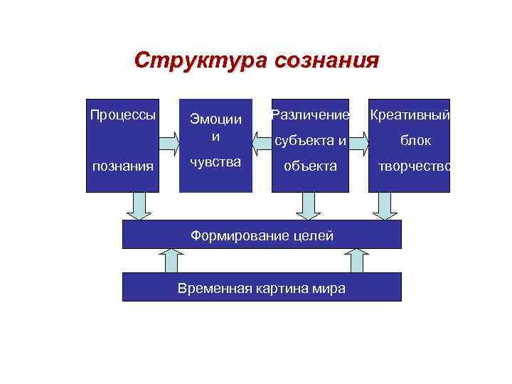 Процессы сознания