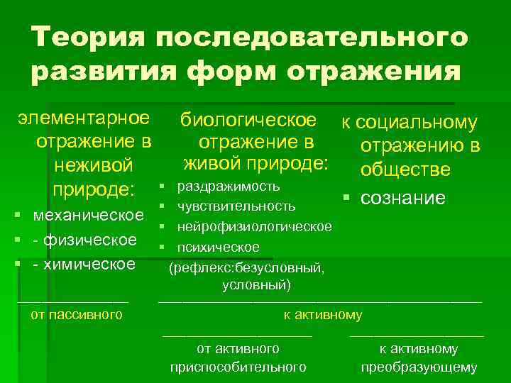  Теория последовательного  развития форм отражения элементарное   биологическое к социальному 