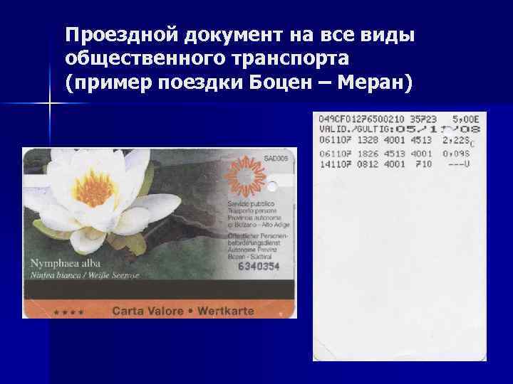 Проездной документ на все виды общественного транспорта (пример поездки Боцен – Меран) 