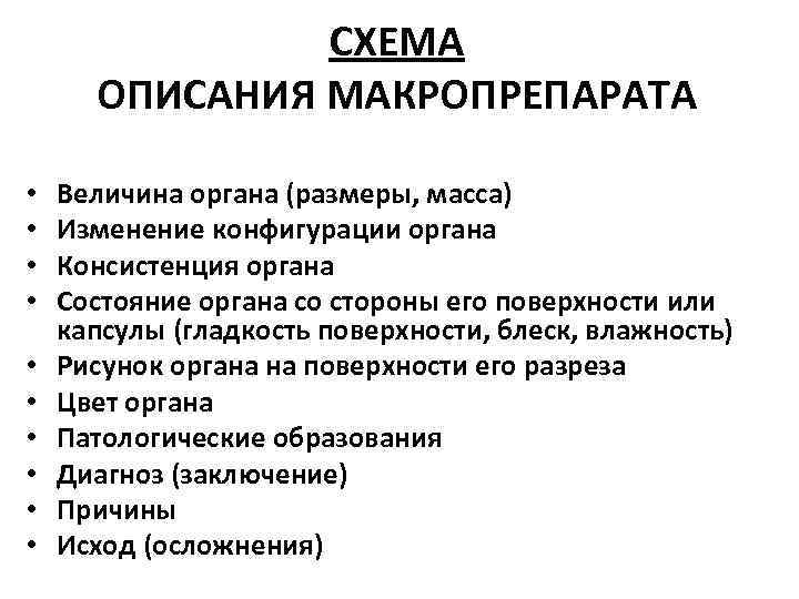     СХЕМА  ОПИСАНИЯ МАКРОПРЕПАРАТА  •  Величина органа (размеры,