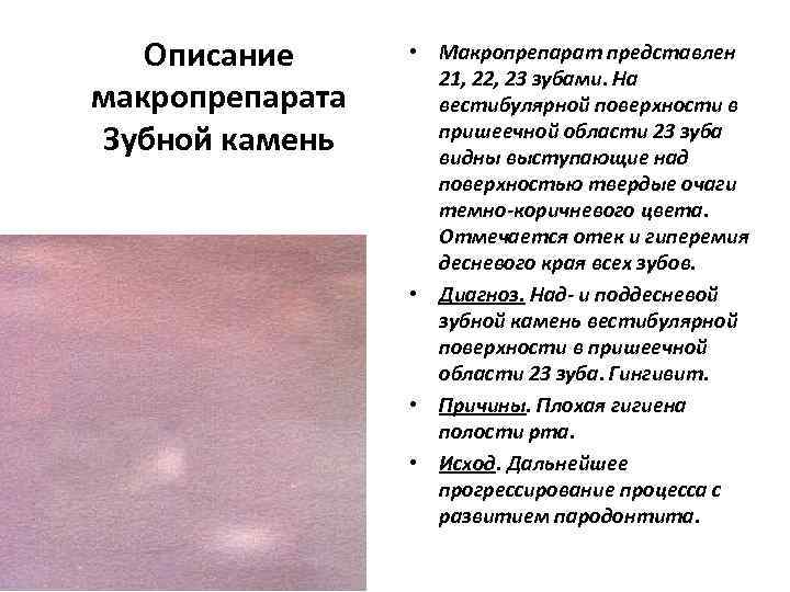   Описание  • Макропрепарат представлен     21, 22, 23