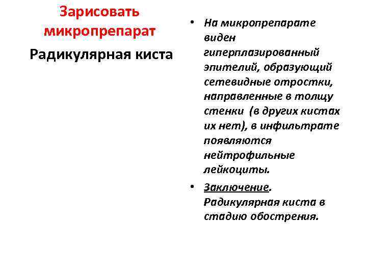   Зарисовать    • На микропрепарате  микропрепарат  виден Радикулярная
