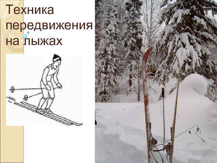 Техника передвижения на лыжах 