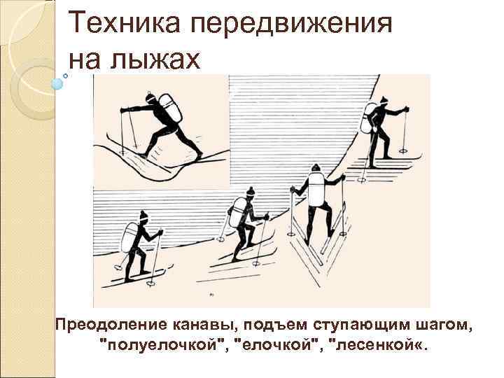 Подъем в год. Техника передвижения на лыжах. Основы техники передвижения на лыжах. Способы передвижения в подъем на лыжах. Передвижение на лыжах в подъем.