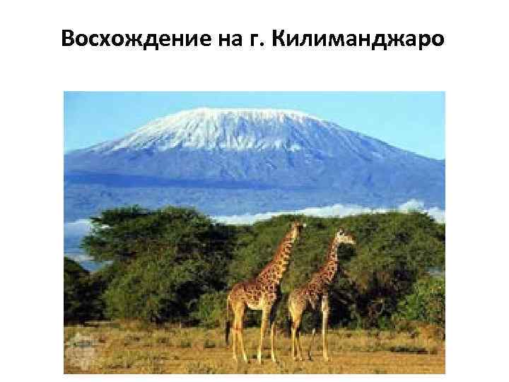 Восхождение на г. Килиманджаро 