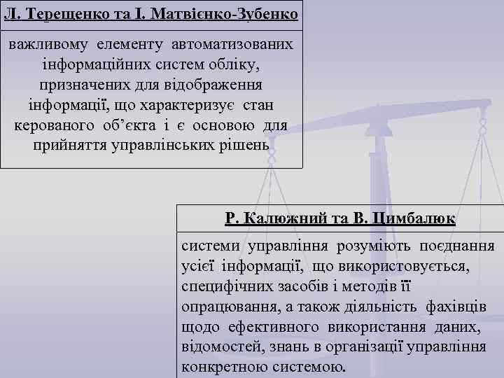 Л. Терещенко та І. Матвієнко-Зубенко важливому елементу автоматизованих інформаційних систем обліку,  призначених для