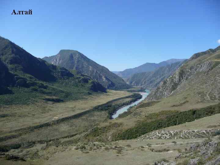 Алтай 