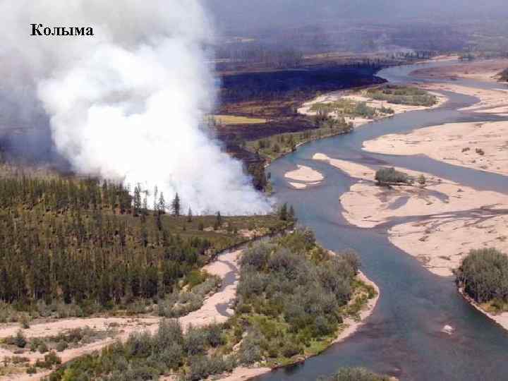 Колыма 
