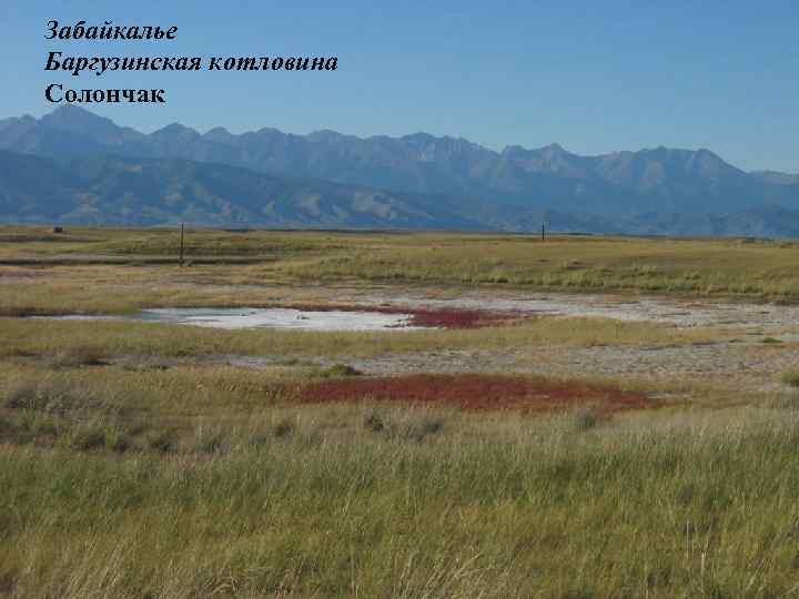 Забайкалье Баргузинская котловина Солончак 