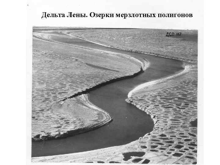 Дельта Лены. Озерки мерзлотных полигонов 