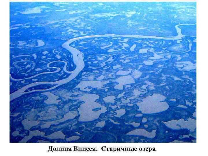 Озеро – результат развития торфяной залежи верхового болота    Западная Сибирь 