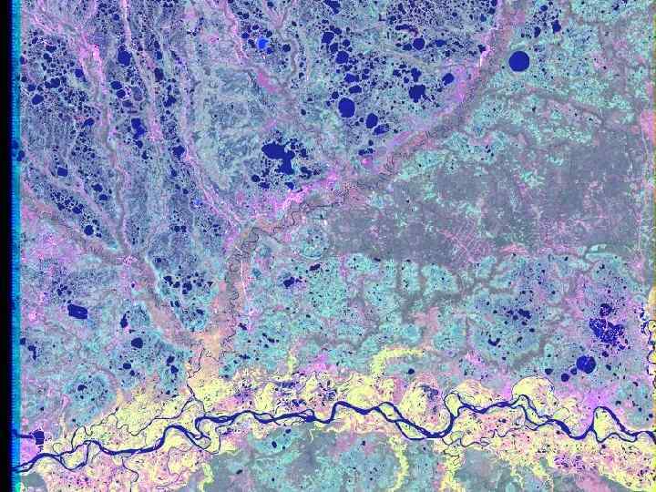 Низинное болото 