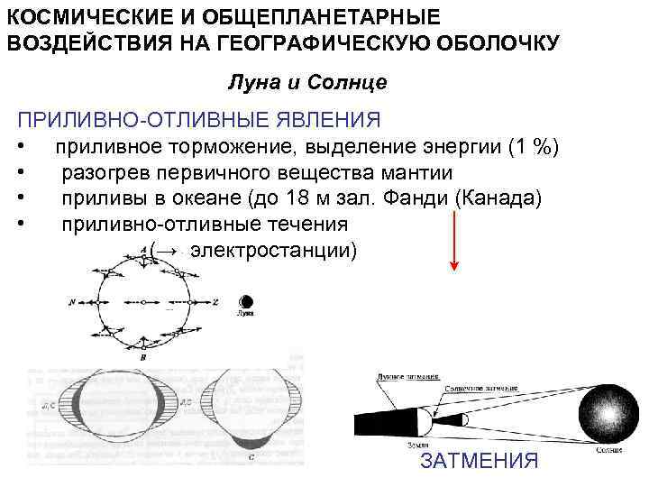 КОСМИЧЕСКИЕ И ОБЩЕПЛАНЕТАРНЫЕ ВОЗДЕЙСТВИЯ НА ГЕОГРАФИЧЕСКУЮ ОБОЛОЧКУ    Луна и Солнце ПРИЛИВНО-ОТЛИВНЫЕ