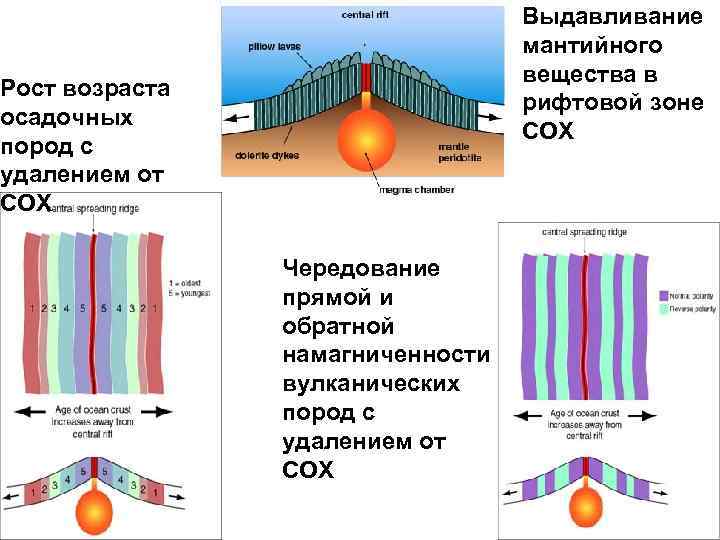 Выдавливание мантийного вещества в рифтовой зоне СОХ Рост возраста осадочных пород с удалением от