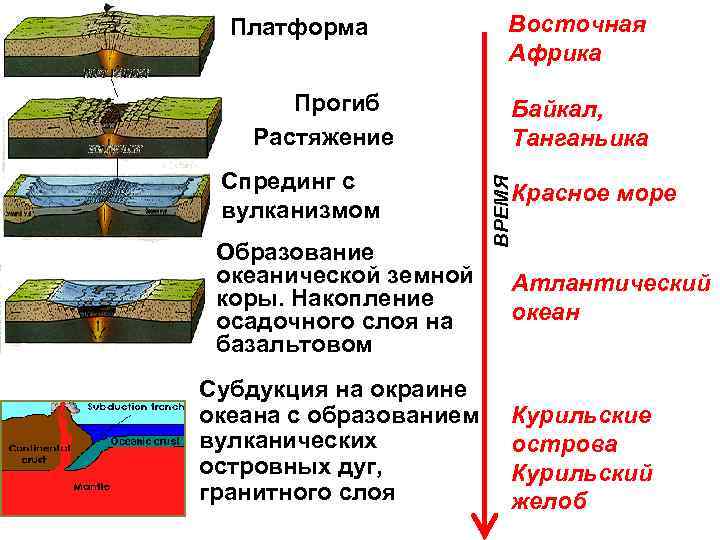 Движения земной коры вулканизм 6 класс