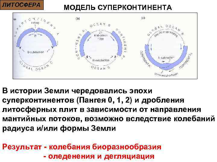ЛИТОСФЕРА МОДЕЛЬ СУПЕРКОНТИНЕНТА В истории Земли чередовались эпохи суперконтинентов (Пангея 0, 1, 2) и