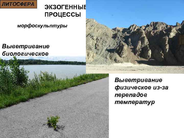 ЛИТОСФЕРА ЭКЗОГЕННЫЕ ПРОЦЕССЫ морфоскульптуры Выветривание биологическое Выветривание физическое из-за перепадов температур 