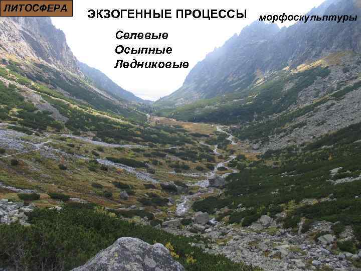 ЛИТОСФЕРА ЭКЗОГЕННЫЕ ПРОЦЕССЫ морфоскульптуры Селевые Осыпные Ледниковые 