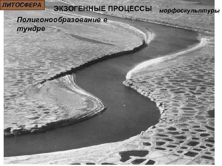 ЛИТОСФЕРА ЭКЗОГЕННЫЕ ПРОЦЕССЫ морфоскульптуры Полигонообразование в тундре 