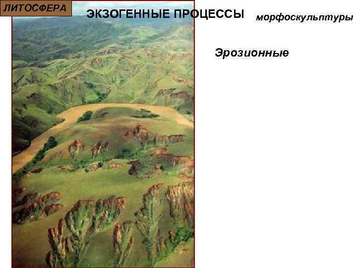 ЛИТОСФЕРА ЭКЗОГЕННЫЕ ПРОЦЕССЫ морфоскульптуры Эрозионные 