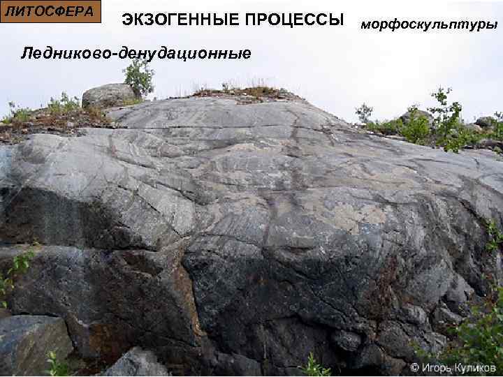 ЛИТОСФЕРА ЭКЗОГЕННЫЕ ПРОЦЕССЫ морфоскульптуры Ледниково-денудационные 
