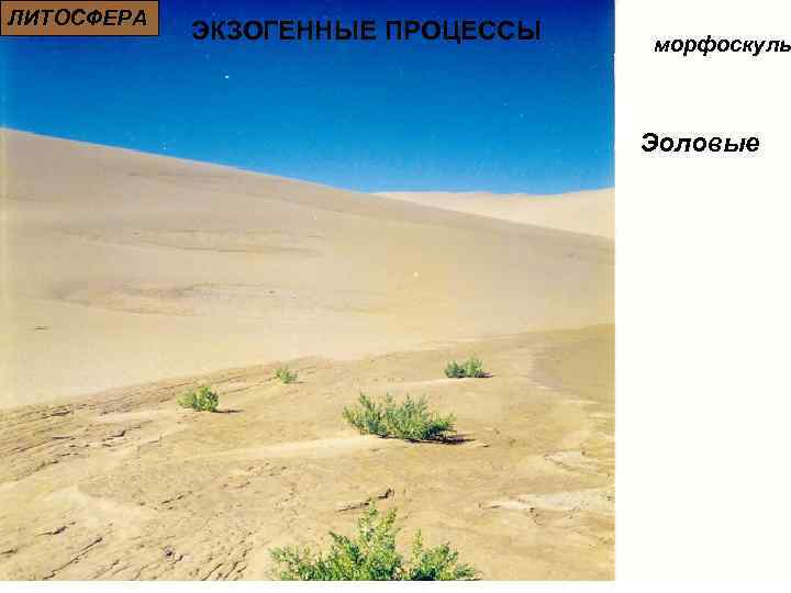 ЛИТОСФЕРА ЭКЗОГЕННЫЕ ПРОЦЕССЫ морфоскуль Эоловые 