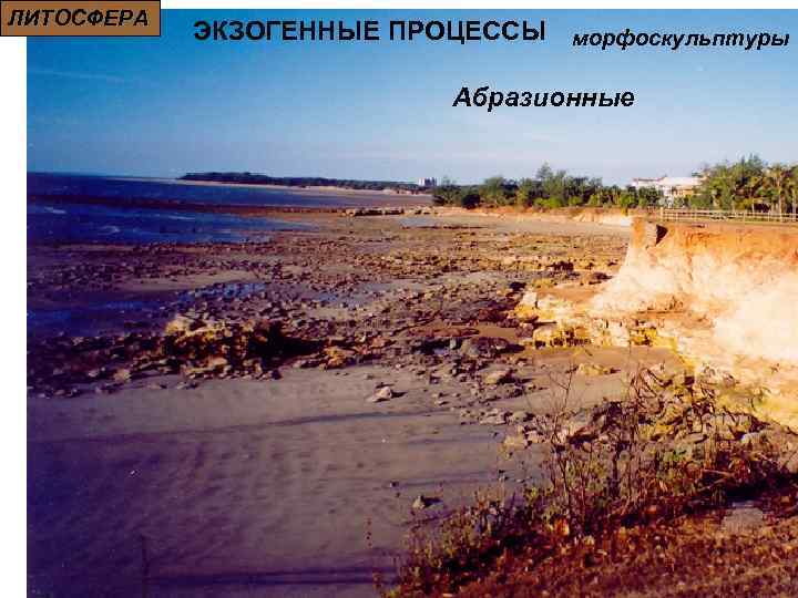 ЛИТОСФЕРА ЭКЗОГЕННЫЕ ПРОЦЕССЫ морфоскульптуры Абразионные 