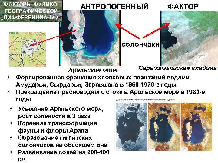 ФАКТОРЫ ФИЗИКОГЕОГРАФИЧЕСКОЙ ДИФФЕРЕНЦИАЦИИ АНТРОПОГЕННЫЙ ФАКТОР солончаки Сарыкамышская впадина Аральское море • Форсированное орошение хлопковых