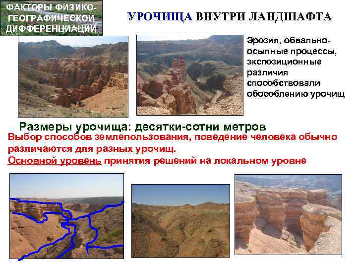 ФАКТОРЫ ФИЗИКОГЕОГРАФИЧЕСКОЙ ДИФФЕРЕНЦИАЦИИ УРОЧИЩА ВНУТРИ ЛАНДШАФТА Эрозия, обвальноосыпные процессы, экспозиционные различия способствовали обособлению урочищ