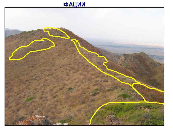 ФАЦИИ 