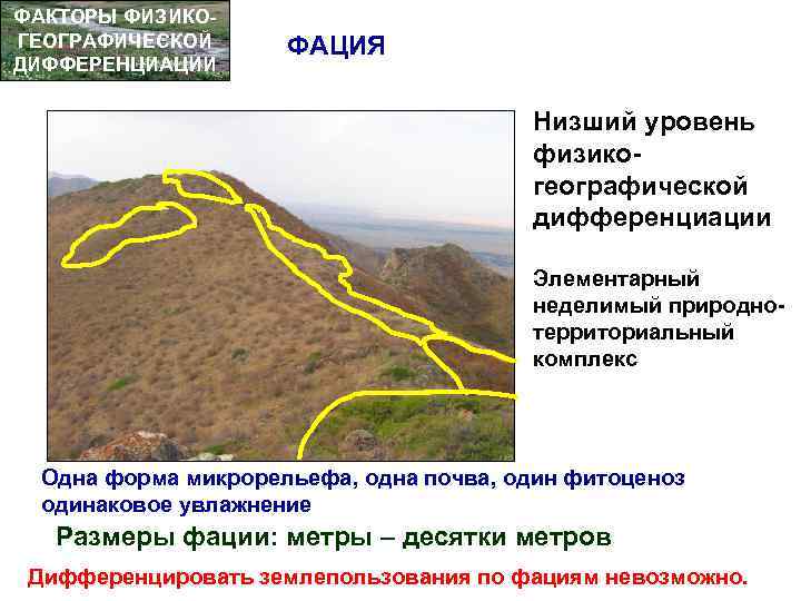 ФАКТОРЫ ФИЗИКОГЕОГРАФИЧЕСКОЙ ДИФФЕРЕНЦИАЦИИ ФАЦИЯ Низший уровень физикогеографической дифференциации Элементарный неделимый природнотерриториальный комплекс Одна форма