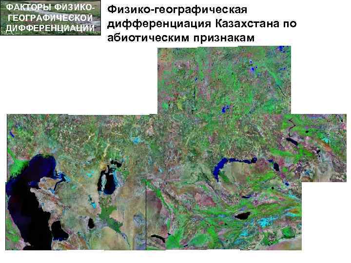 ФАКТОРЫ ФИЗИКОГЕОГРАФИЧЕСКОЙ ДИФФЕРЕНЦИАЦИИ Физико-географическая дифференциация Казахстана по абиотическим признакам 
