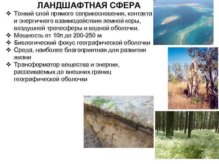    ЛАНДШАФТНАЯ СФЕРА v Тонкий слой прямого соприкосновения, контакта  и энергичного