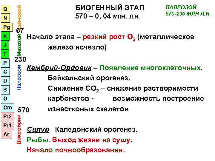        БИОГЕННЫЙ ЭТАП   ПАЛЕОЗОЙ  Мезозой