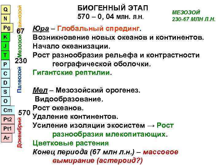     БИОГЕННЫЙ ЭТАП  Мезозой Кайнозой Q   