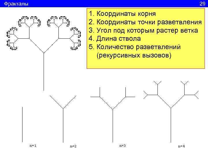 Фракталы       29   1. Координаты корня 