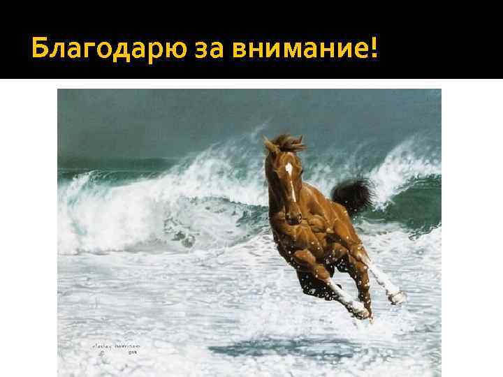 Благодарю за внимание! 