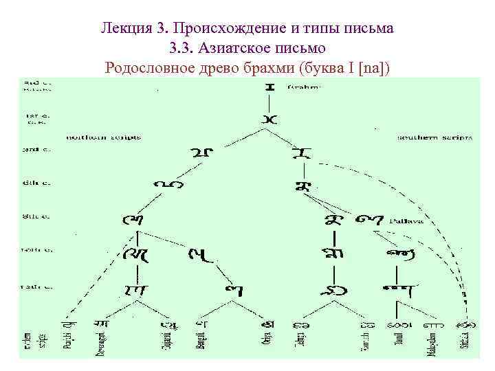 Лекция 3. Происхождение и типы письма 3. 3. Азиатское письмо Родословное древо Лекция 3. Происхождение и типы письма 3. 3. Азиатское письмо Родословное древо
