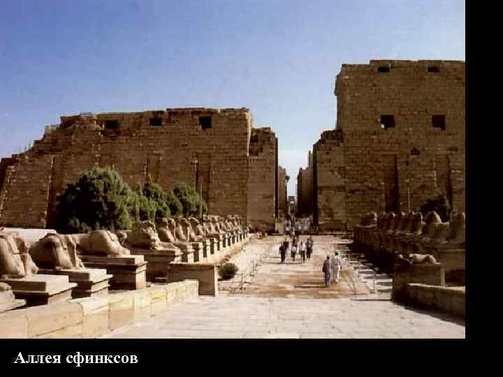 Аллея сфинксов 