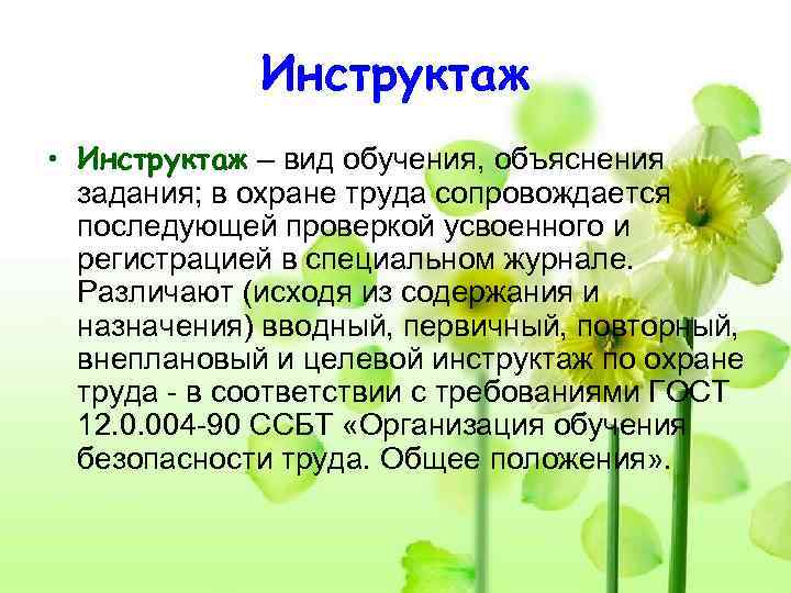    Инструктаж • Инструктаж – вид обучения, объяснения  задания; в охране