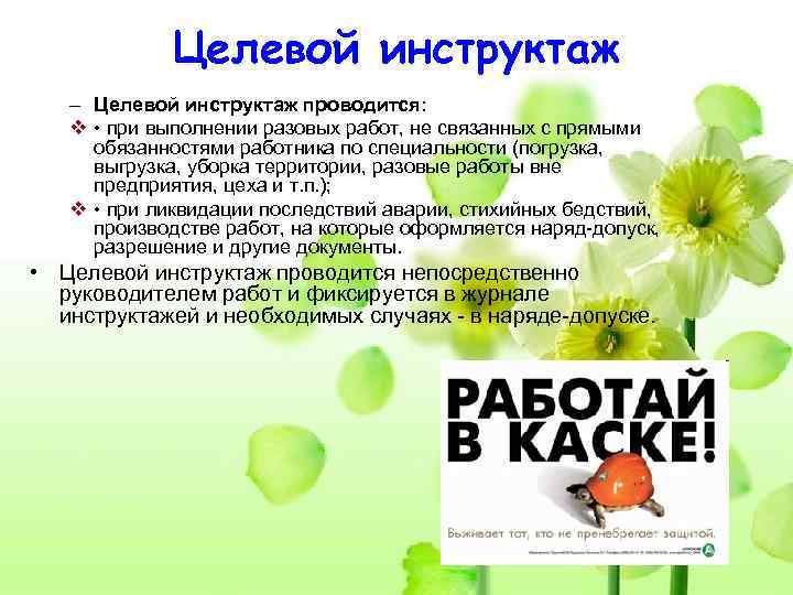    Целевой инструктаж  – Целевой инструктаж проводится: v • при выполнении