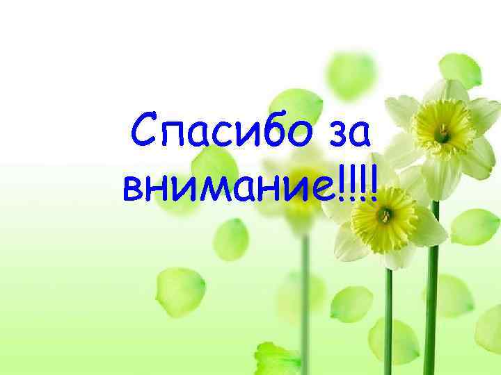 Спасибо за внимание!!!! 