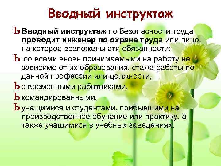    Вводный инструктаж ь Вводный инструктаж по безопасности труда проводит инженер по