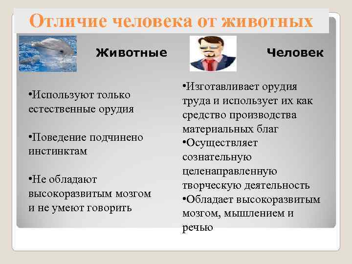 Отличие человека от животных   Животные    Человек   