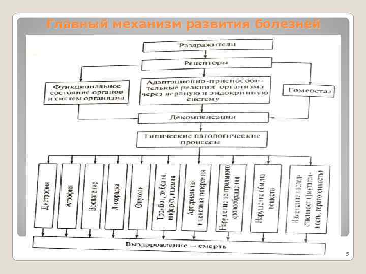 Главный механизм развития болезней 5 Главный механизм развития болезней 5