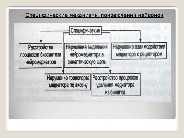  Специфические механизмы повреждения нейронов 
