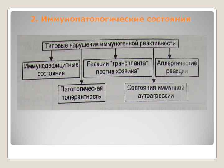 2. Иммунопатологические состояния 
