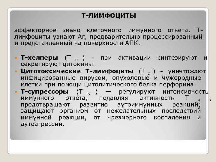     Т-ЛИМФОЦИТЫ эффекторное звено клеточного иммунного ответа. Т- лимфоциты узнают Аг,